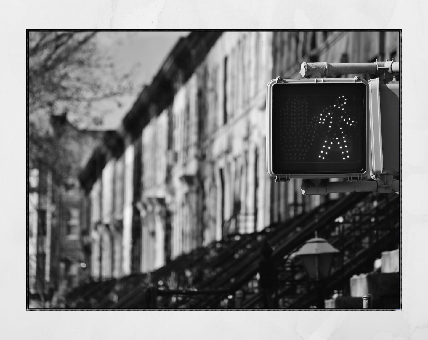 New York Photography Brooklyn Brownstones Print