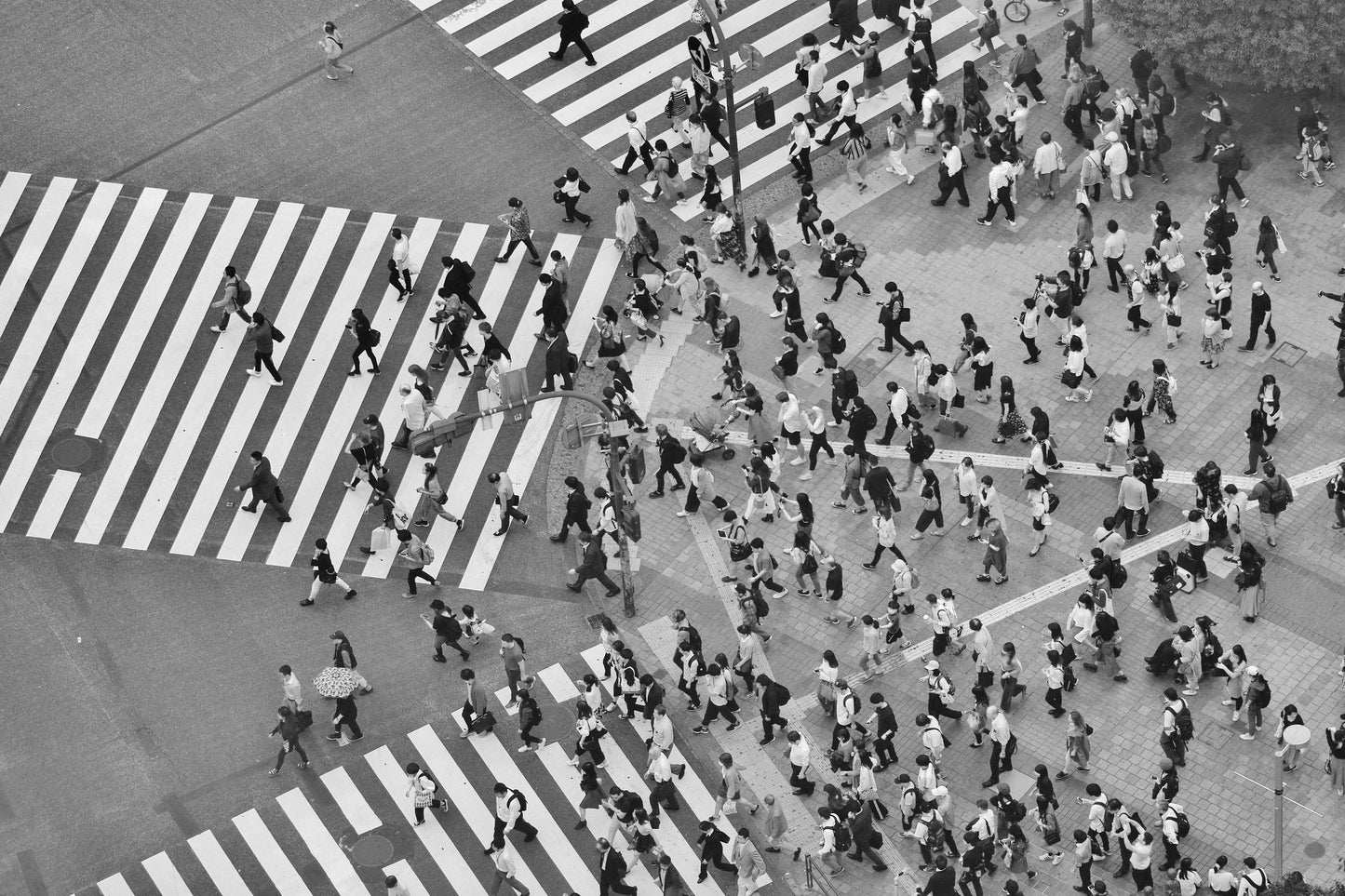 Shibuya Crossing Print Tokyo Poster