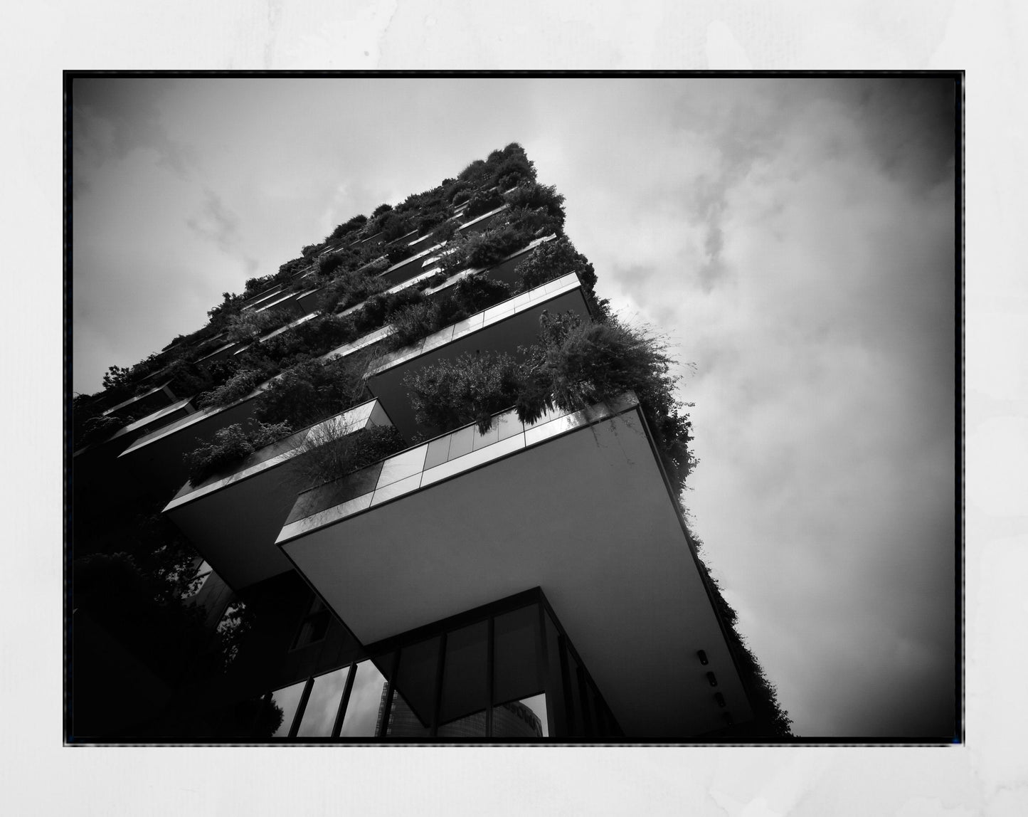 Milan Vertical Forest Bosco Verticale Architecture Black And White Photography Print