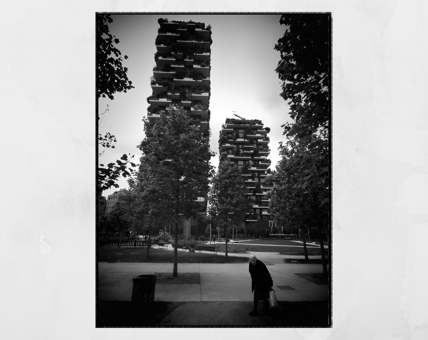 Milan Bosco Verticale Black And White Photography Print