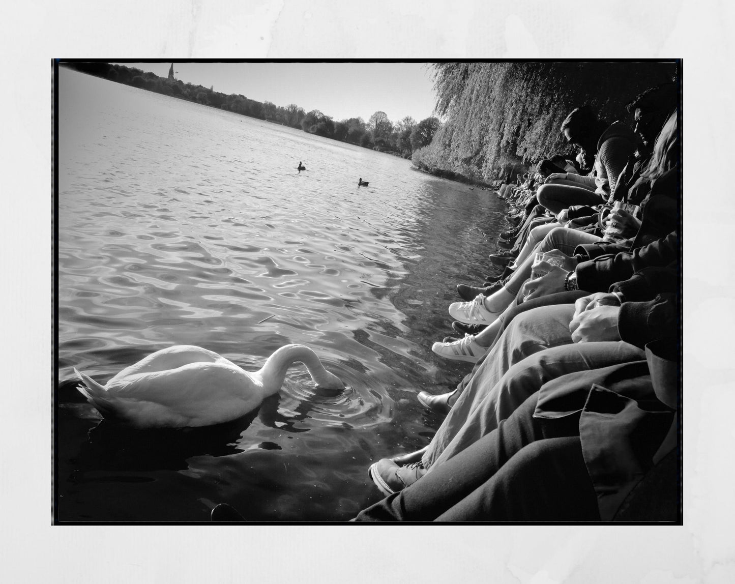 Hamburg Alster Lakes Black And White Photography Print