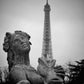 Paris Fontaines de la Concorde Eiffel Tower Black And White Photography Print