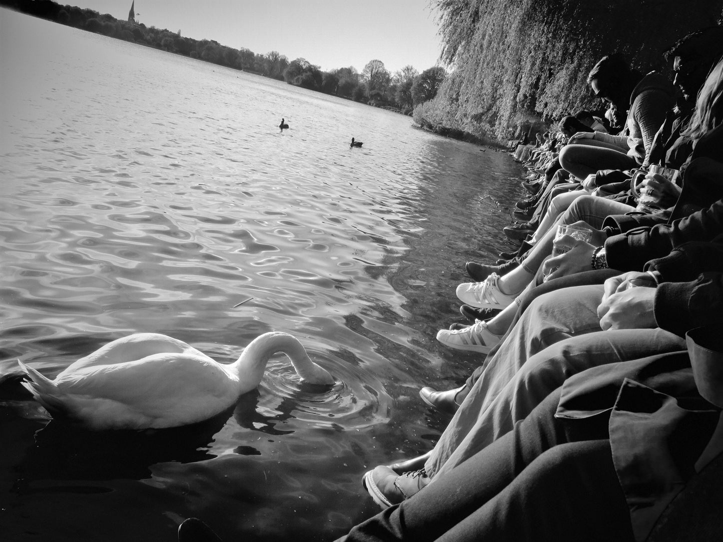 Hamburg Alster Lakes Black And White Photography Print