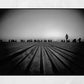 Thessaloniki Boardwalk Black And White Photography Print