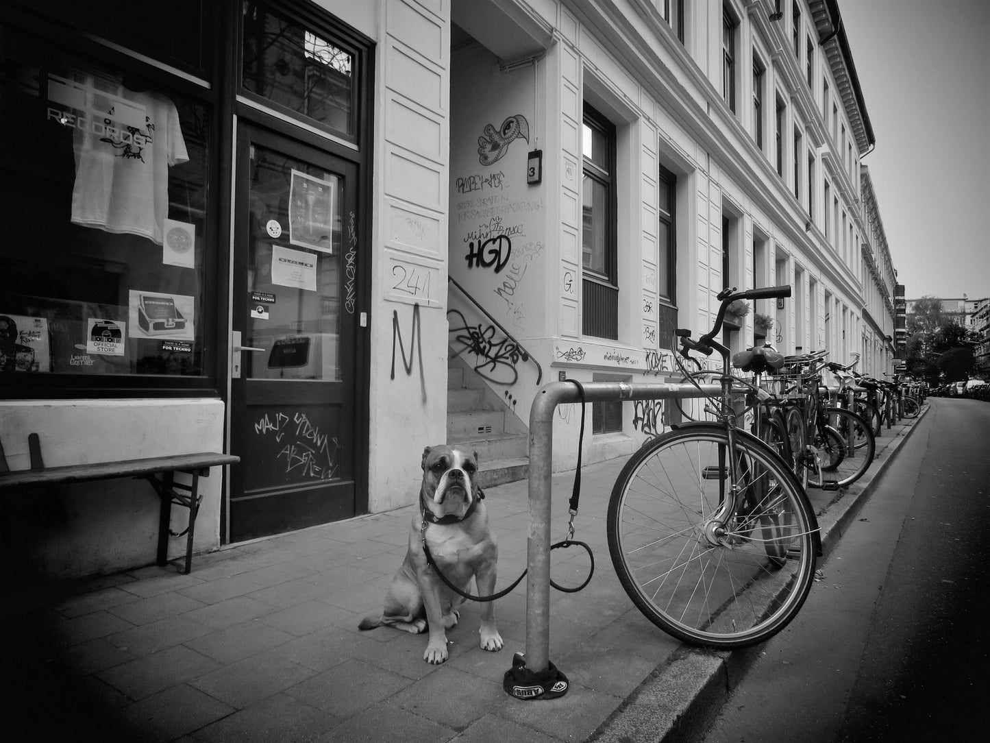 St Pauli Hamburg Print Dog Street Black And White Photography