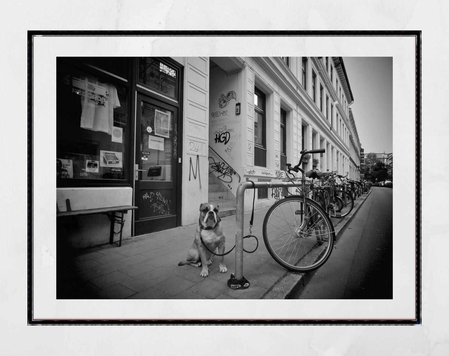 St Pauli Hamburg Print Dog Street Black And White Photography