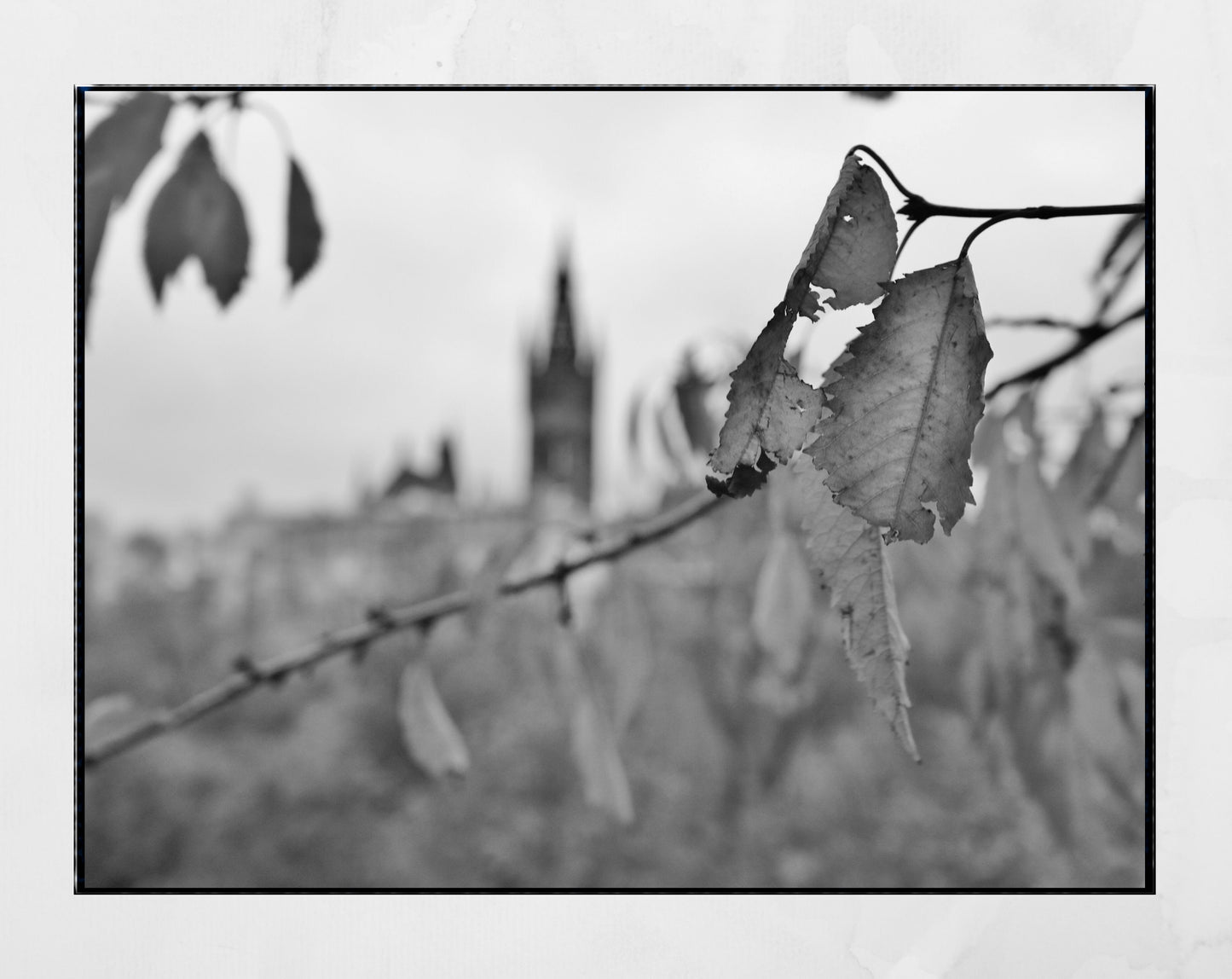 Glasgow University Black And White Photography Poster