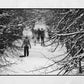 Queen's Park Glasgow Print Snow Winter Photography Black And White Wall Art