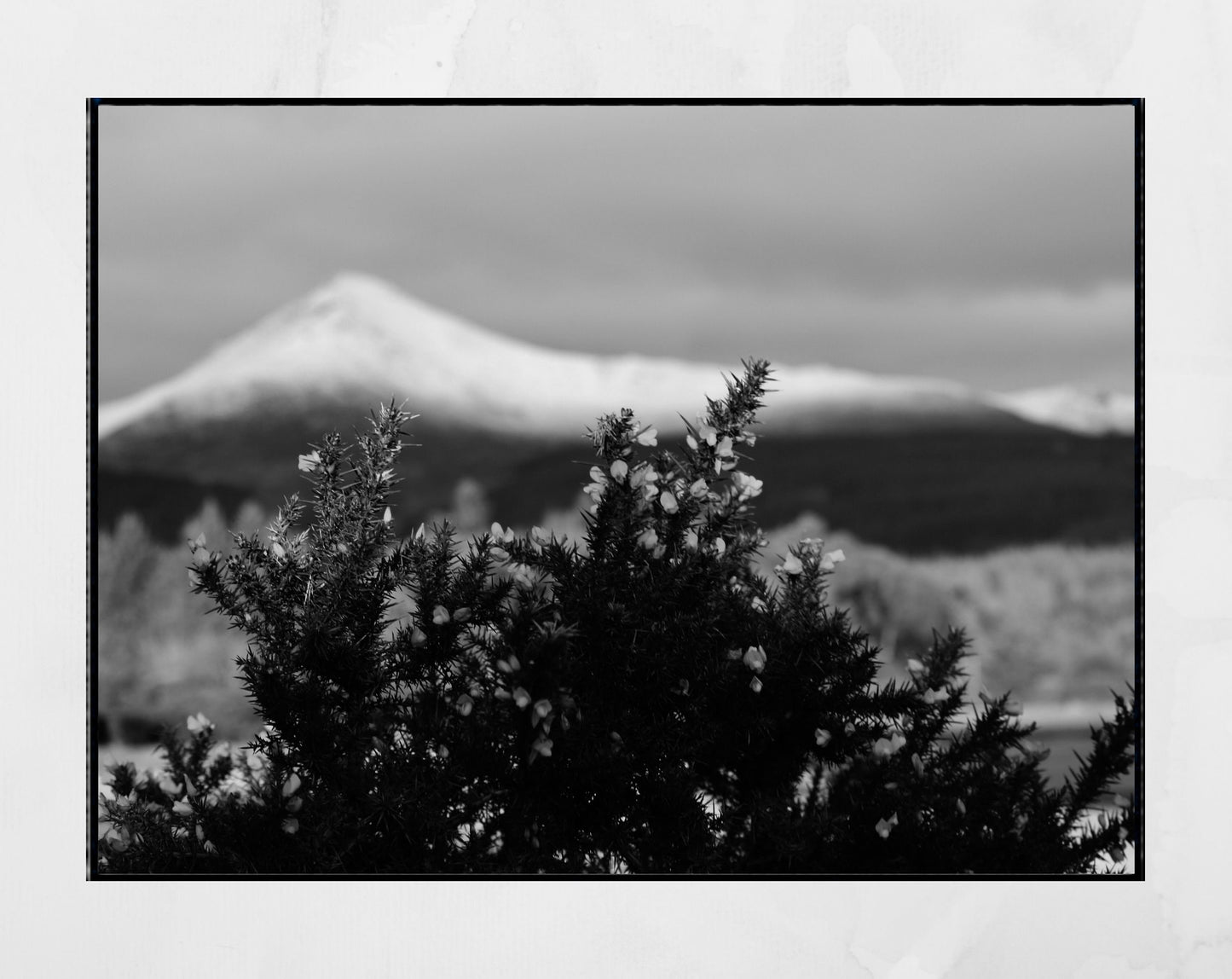 Isle of Arran Scotland Landscape Black And White Photography Print