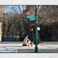 Harlem New York Street Photography Malcolm X Boulevard Print