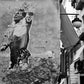 Maradona Hand Of God Poster Napoli Photography Print