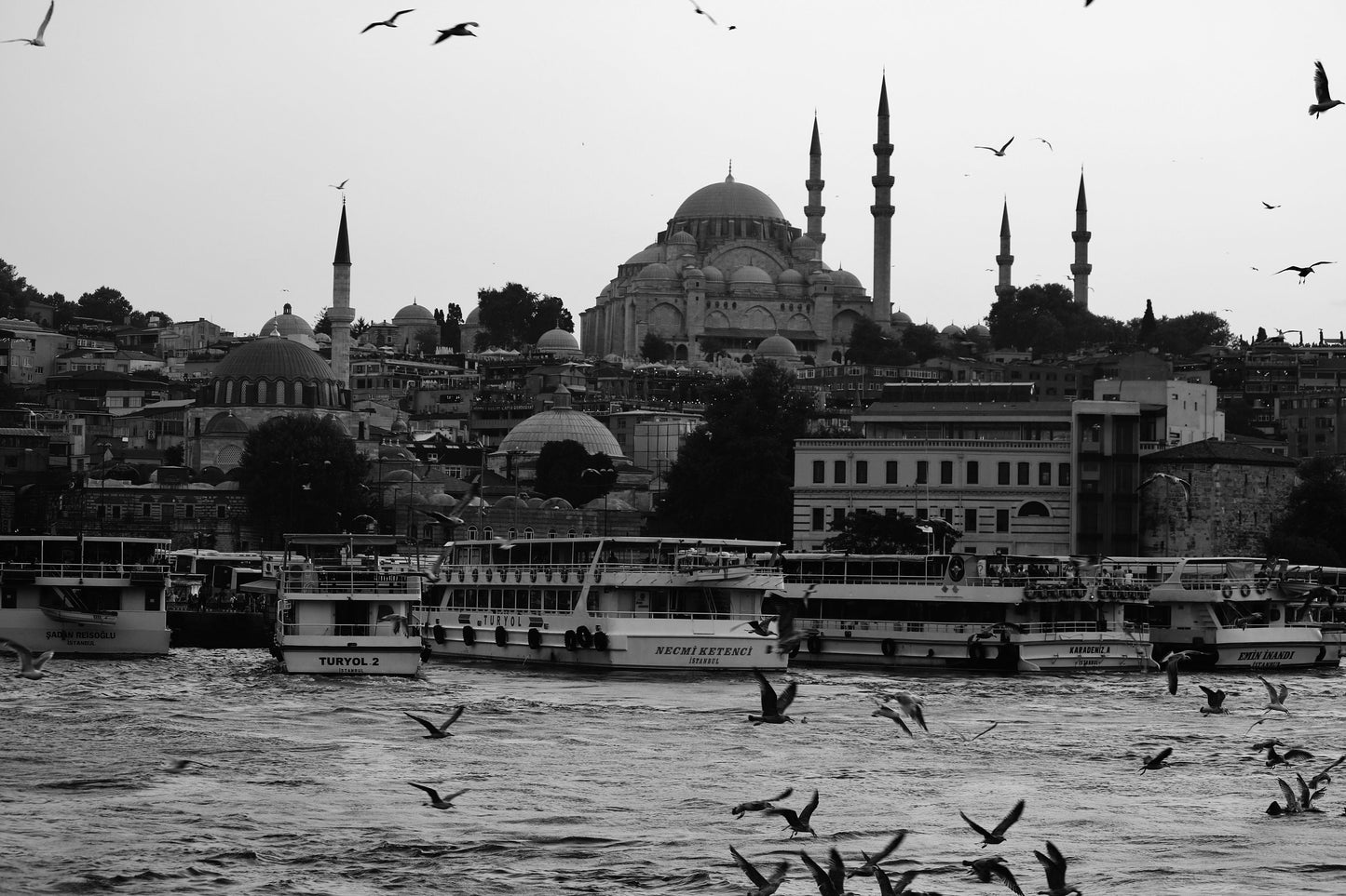 Istanbul Süleymaniye Mosque Eminönü Black And White Photography Print Poster