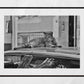 Istanbul Tabby Cat Street Poster Photography Print