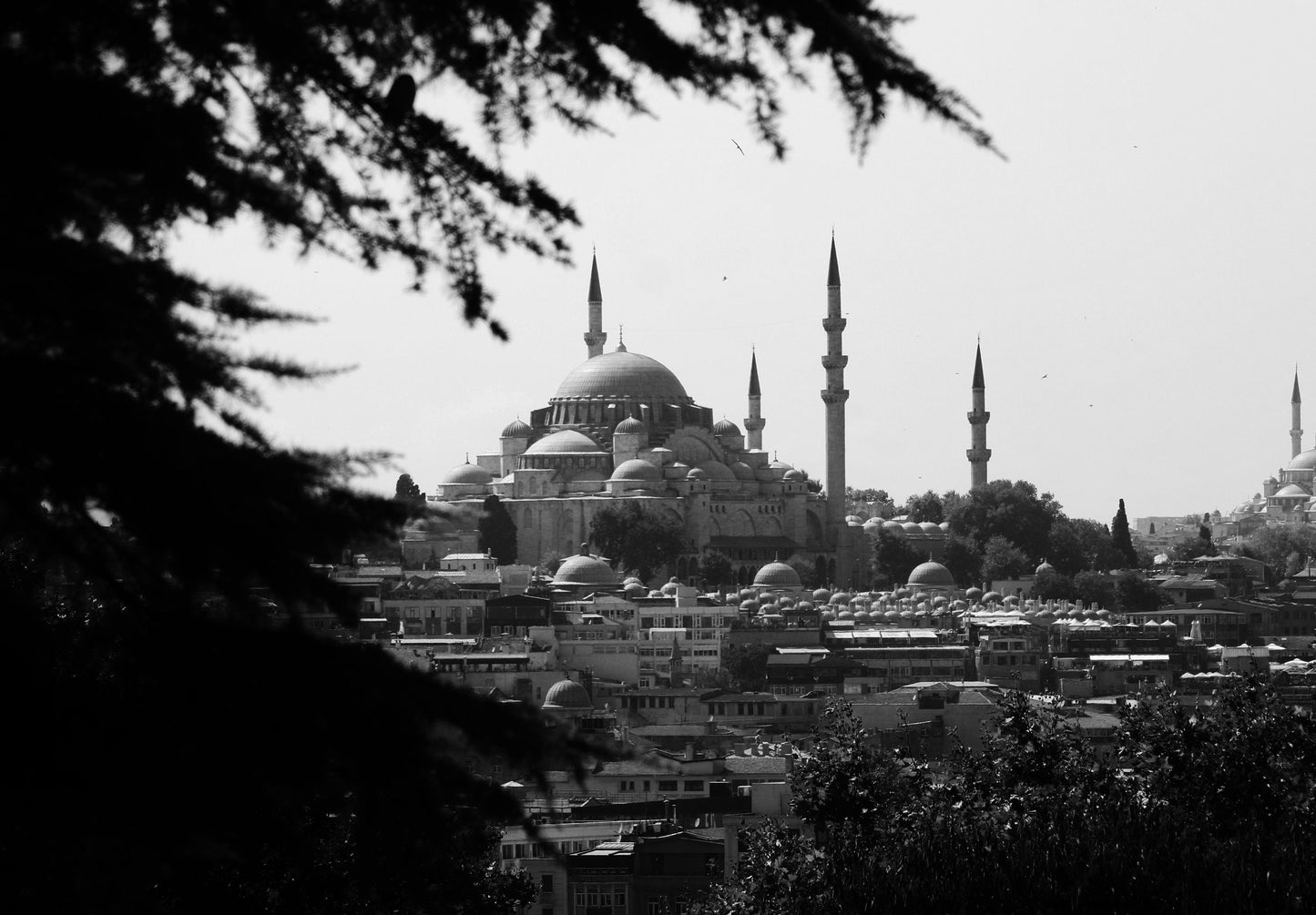 Istanbul Suleymaniye Mosque Middle East Black And White Photography Print Poster