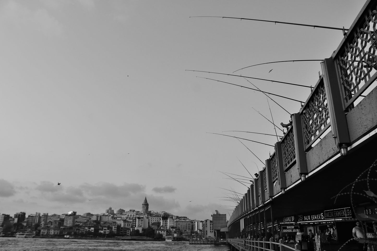 Istanbul Galata Bridge Fishing Black And White Photography Print Poster