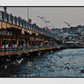 Istanbul Galata Bridge Photography Print Poster