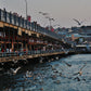 Istanbul Galata Bridge Photography Print Poster
