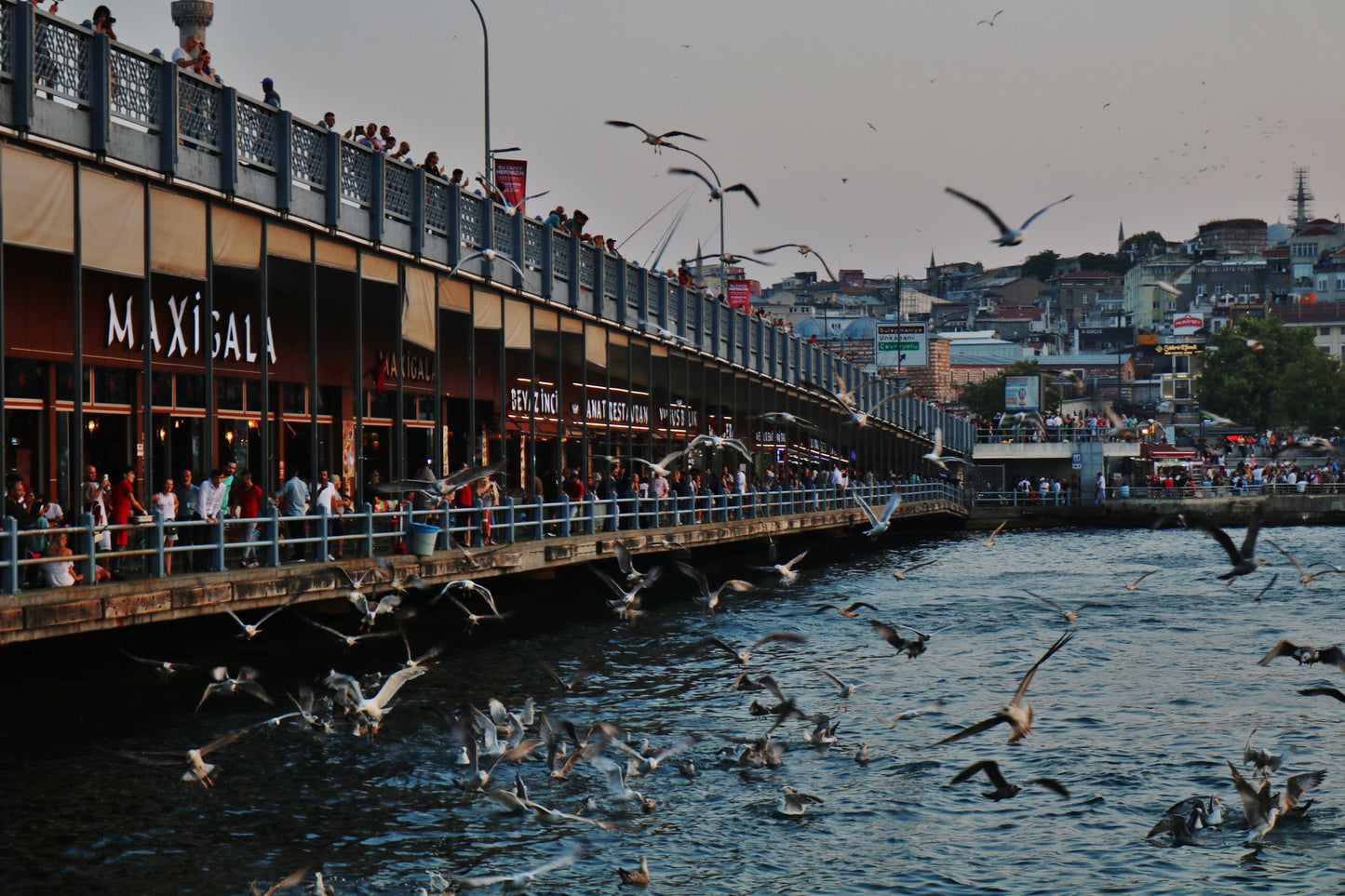 Istanbul Galata Bridge Photography Print Poster