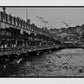 Istanbul Galata Bridge Black And White Photography Print Poster