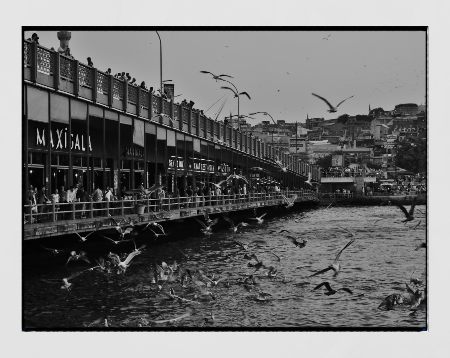 Istanbul Galata Bridge Black And White Photography Print Poster