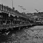 Istanbul Galata Bridge Black And White Photography Print Poster