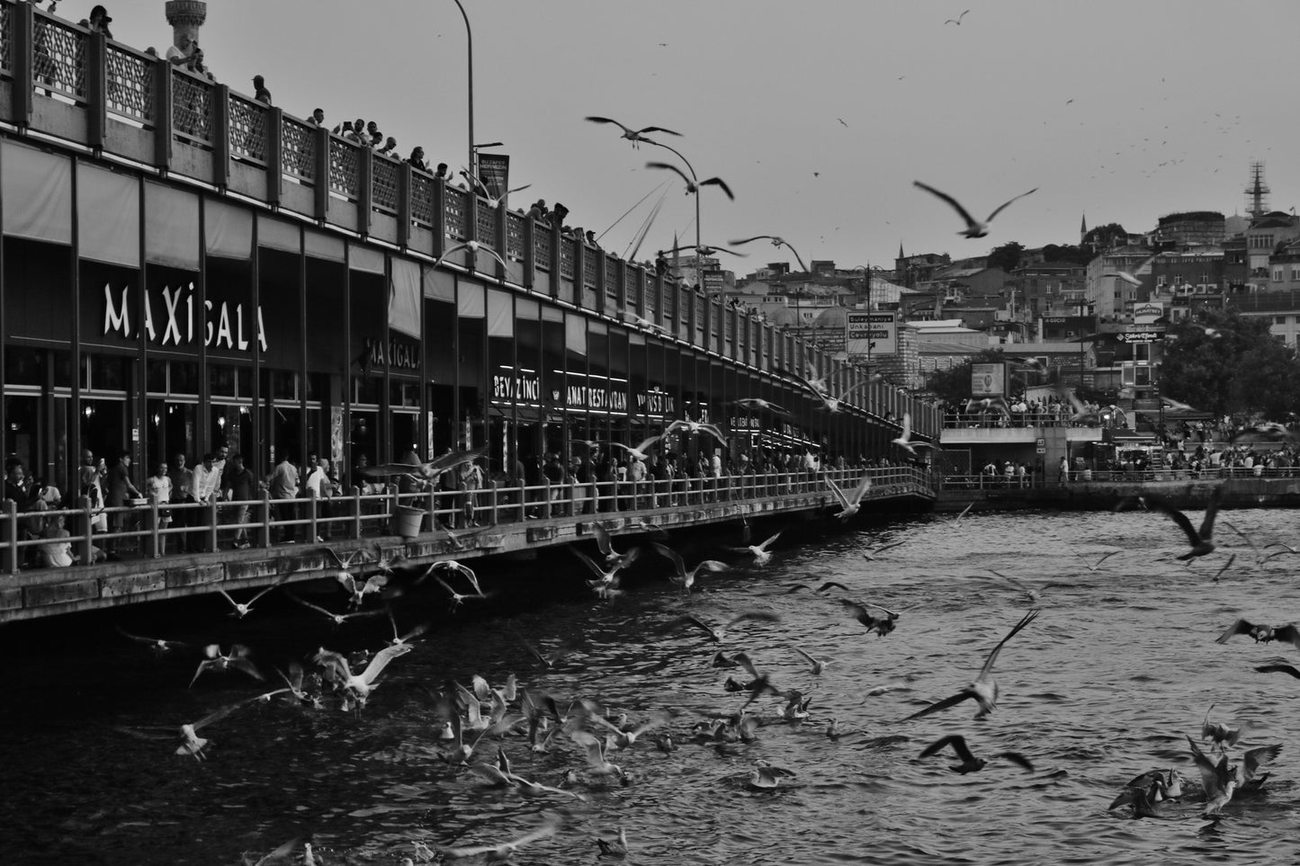 Istanbul Galata Bridge Black And White Photography Print Poster