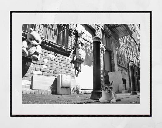 Istanbul Cat Street Black And White Photography Print Wall Art