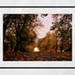 Autumn Fall Glasgow Queen's Park Photography Print