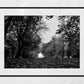 Autumn Fall Glasgow Queen's Park Black And White Photography Print