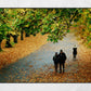 Autumn Fall Glasgow Queen's Park Photography Print Wall Art