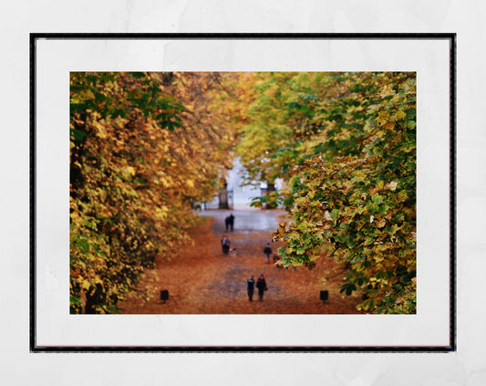 Glasgow Queen's Park Autumn Fall Photography Print Poster Wall Art