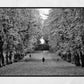 Glasgow Queen's Park Autumn Fall Foliage Black And White Photography Print Wall Art