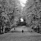 Glasgow Queen's Park Autumn Fall Foliage Black And White Photography Print Wall Art