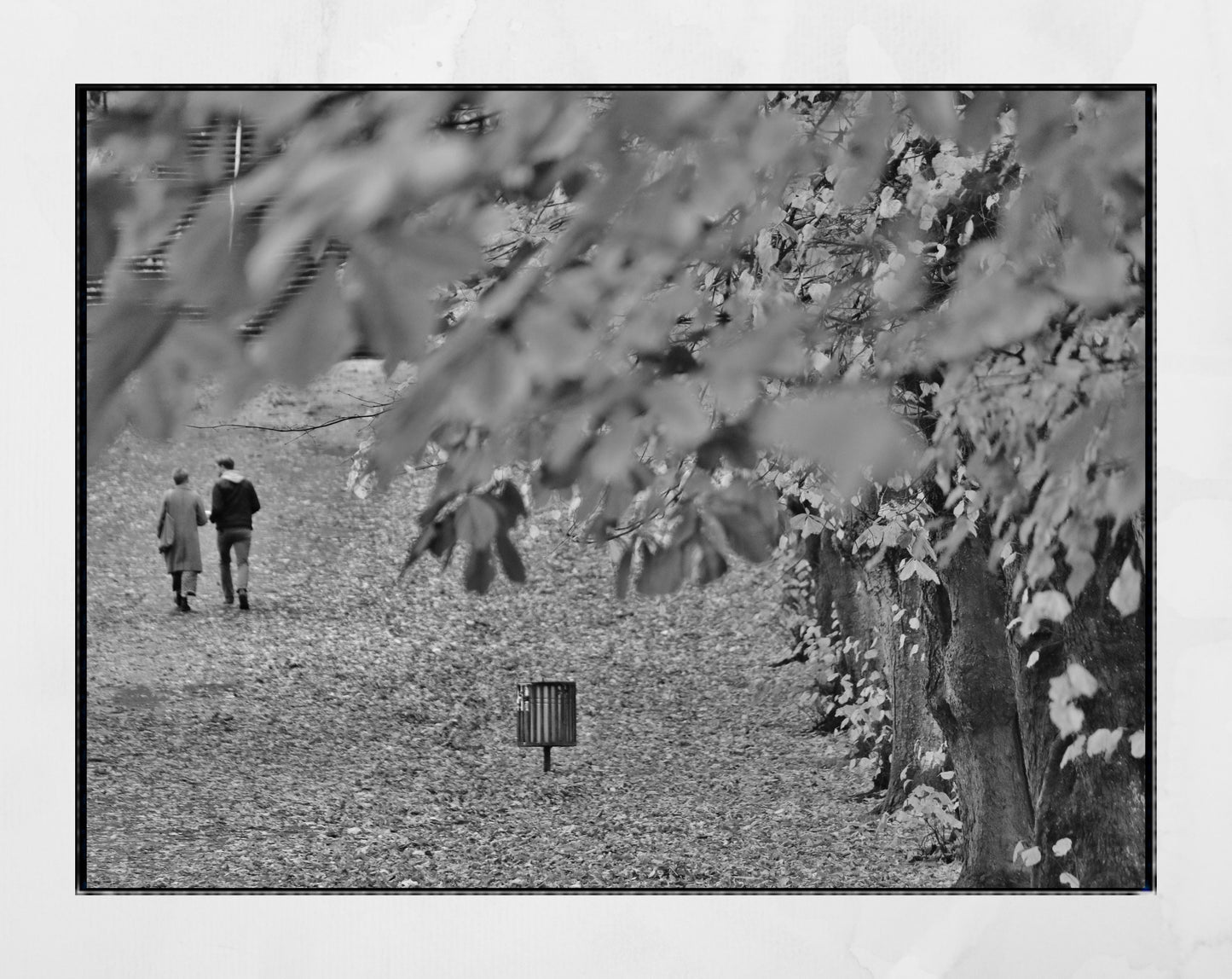 Glasgow Queen's Park Autumn Fall Foliage Black And White Photography Print Wall Art