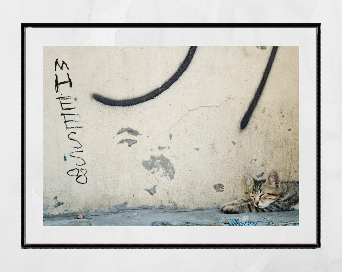 Istanbul Cat Graffiti Street Photography Print Poster