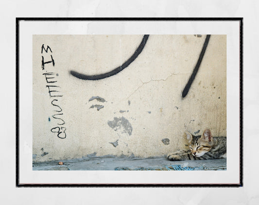 Istanbul Cat Graffiti Street Photography Print Poster