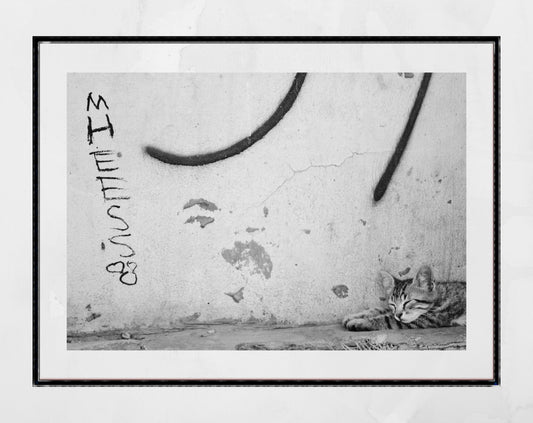 Istanbul Cat Graffiti Street Black And White Photography Print Poster