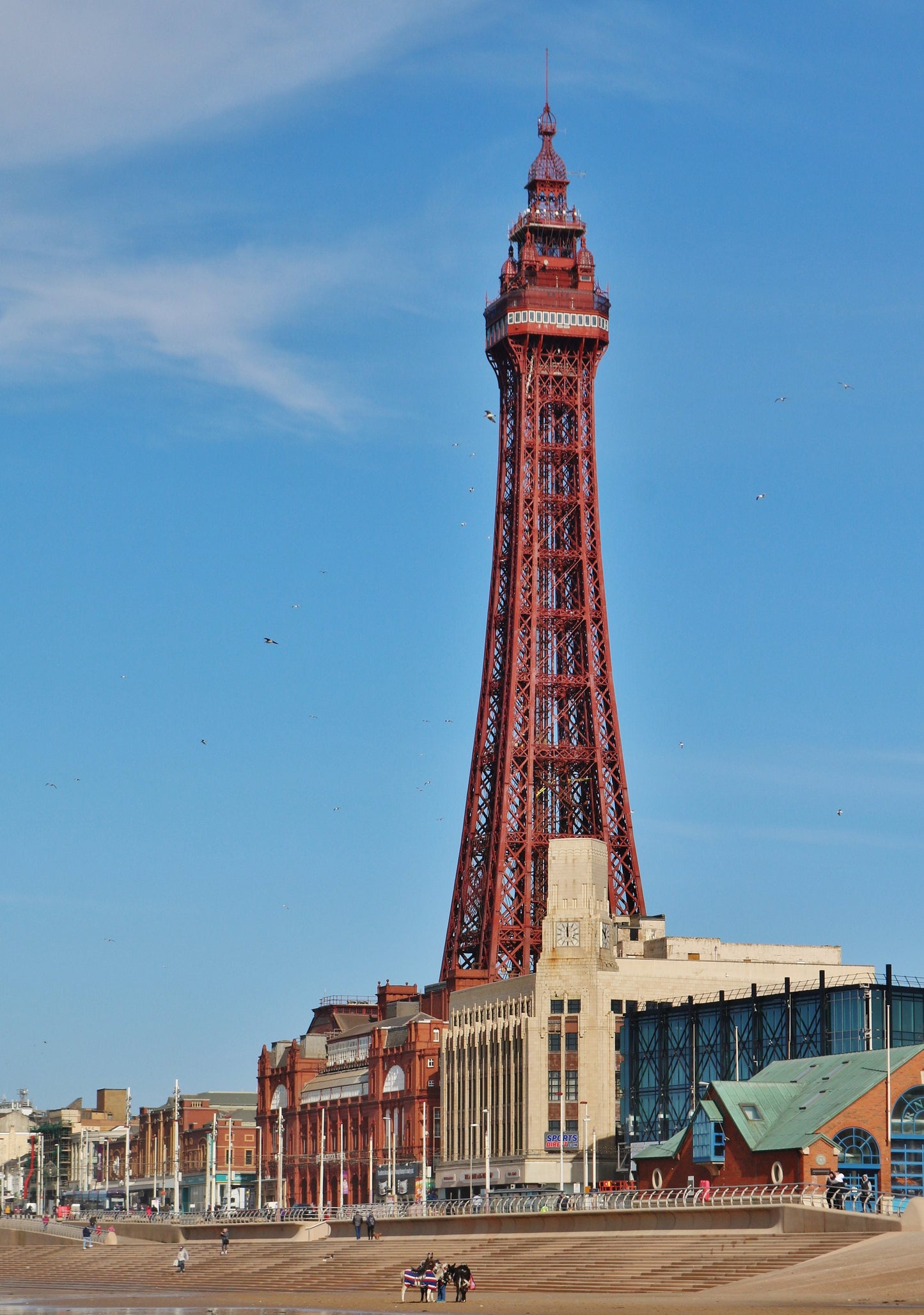 Blackpool Tower Photography Print Poster