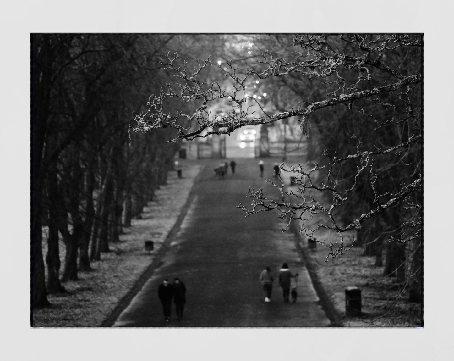 Glasgow Queen's Park South Side Print Winter Black And White Photography Wall Art