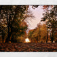 Autumn Fall Glasgow Queen's Park Photography Print