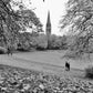 Glasgow Queen's Park Autumn Fall Black And White Photography Print