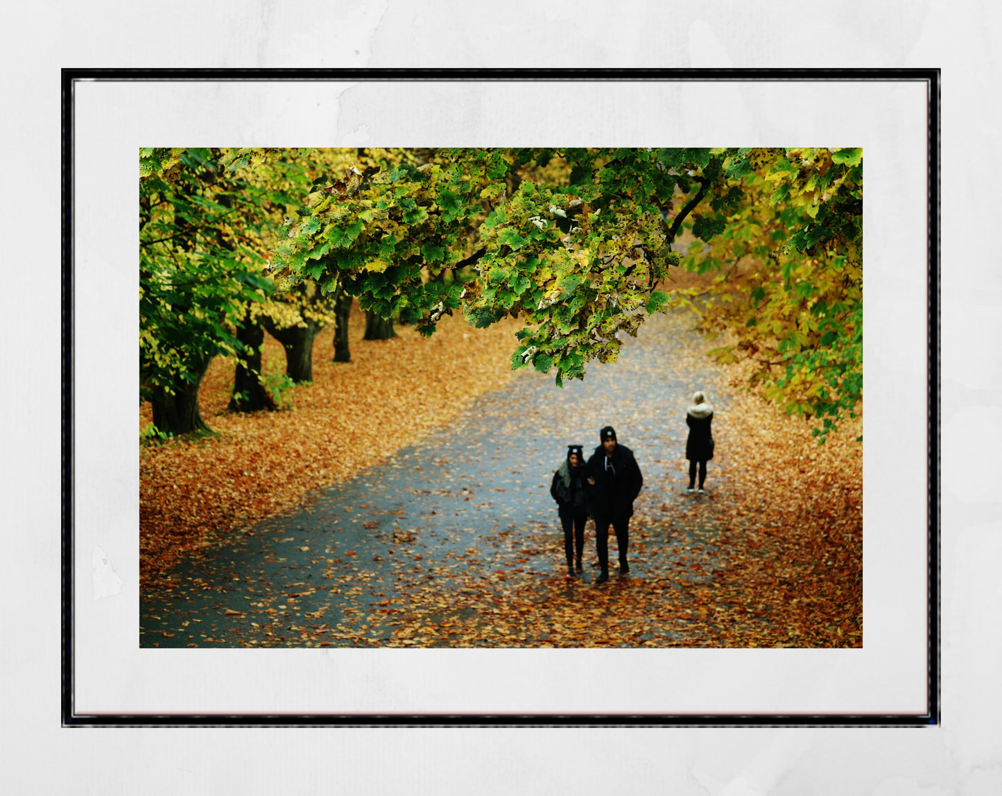 Autumn Fall Glasgow Queen's Park Photography Print Wall Art