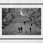 Glasgow Queen's Park Autumn Fall Black And White Photography Print Poster