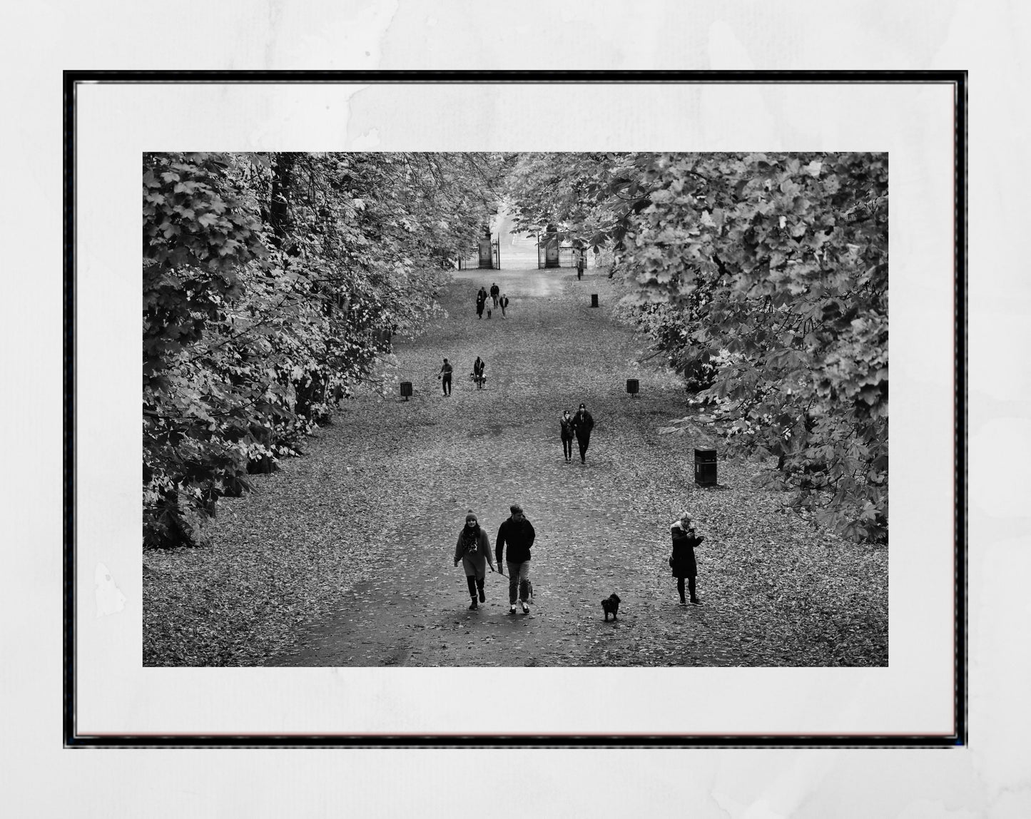 Glasgow Queen's Park Autumn Fall Black And White Photography Print Poster