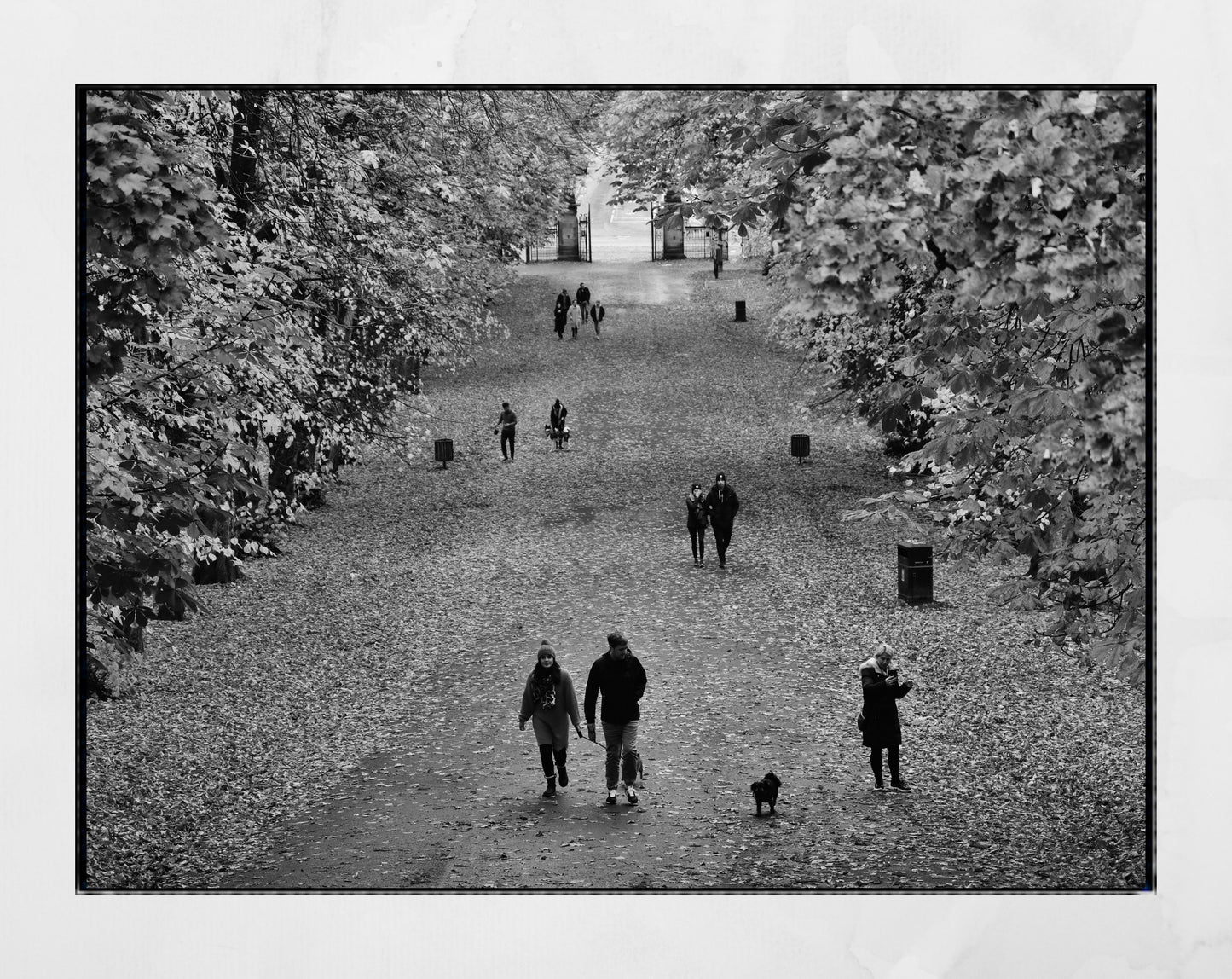 Glasgow Queen's Park Autumn Fall Black And White Photography Print Poster