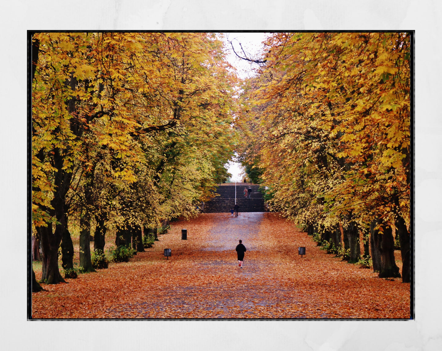 Glasgow Queen's Park Autumn Fall Foliage Photography Print Poster Wall Art