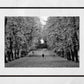 Glasgow Queen's Park Autumn Fall Foliage Black And White Photography Print Wall Art