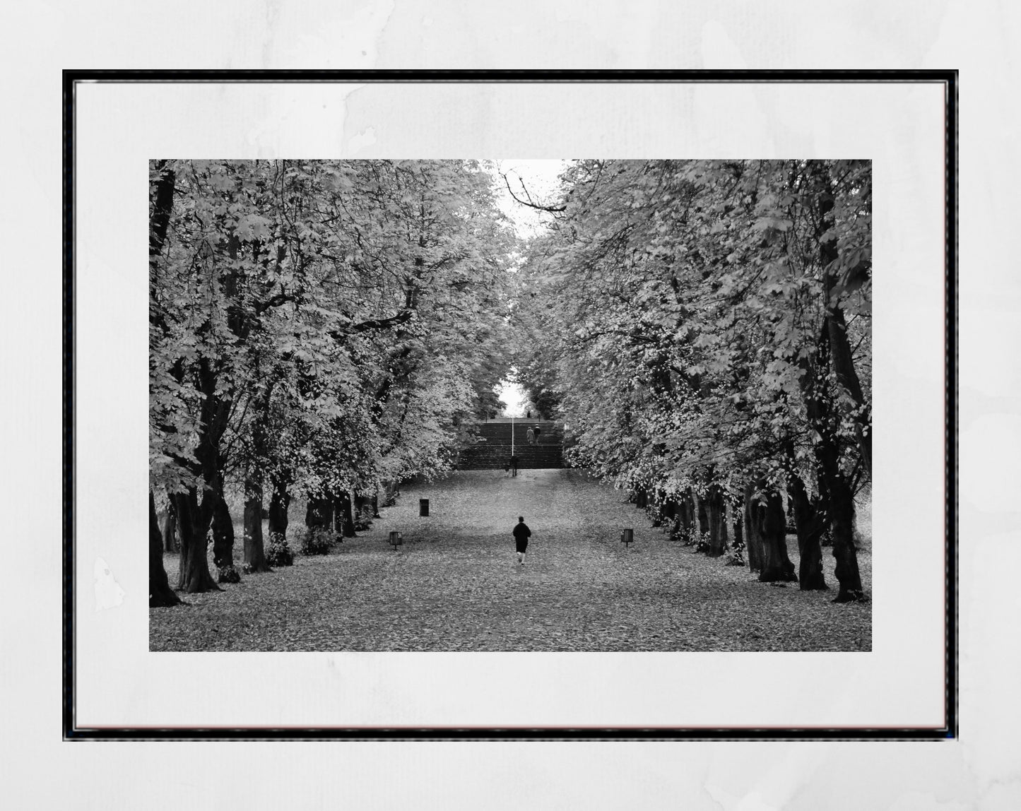 Glasgow Queen's Park Autumn Fall Foliage Black And White Photography Print Wall Art