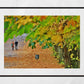 Glasgow Queen's Park Autumn Fall Foliage Photography Print Wall Art