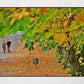 Glasgow Queen's Park Autumn Fall Foliage Photography Print Wall Art